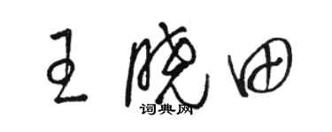 駱恆光王曉田草書個性簽名怎么寫