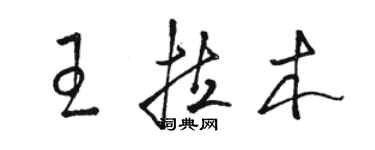 駱恆光王拉木草書個性簽名怎么寫