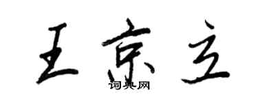 王正良王京立行書個性簽名怎么寫