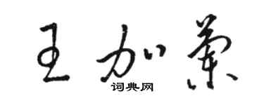 駱恆光王加蘭草書個性簽名怎么寫