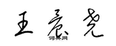 梁錦英王晨堯草書個性簽名怎么寫