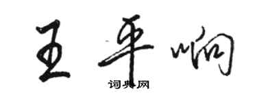 駱恆光王平響行書個性簽名怎么寫