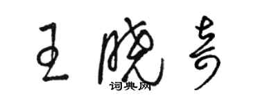 駱恆光王曉奇草書個性簽名怎么寫