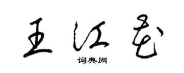 梁錦英王江花草書個性簽名怎么寫