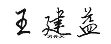 駱恆光王建益行書個性簽名怎么寫
