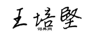王正良王培堅行書個性簽名怎么寫