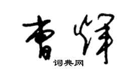 朱錫榮曹輝草書個性簽名怎么寫