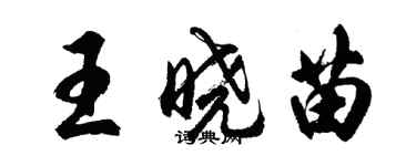 胡問遂王曉苗行書個性簽名怎么寫