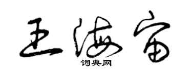 曾慶福王海宙草書個性簽名怎么寫