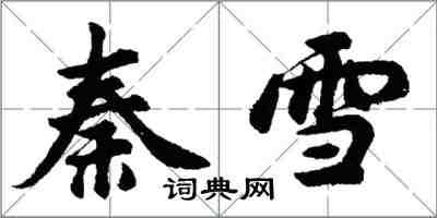 胡問遂秦雪行書怎么寫