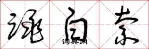 曾慶福跳白索草書怎么寫