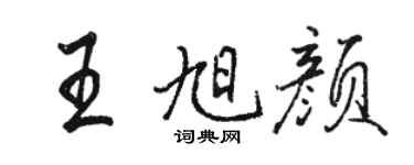 駱恆光王旭顏行書個性簽名怎么寫