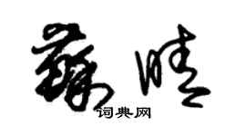 朱錫榮蘇晴草書個性簽名怎么寫