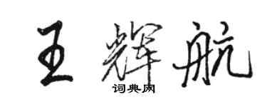 駱恆光王輝航行書個性簽名怎么寫