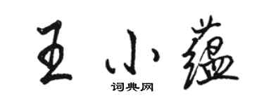 駱恆光王小蘊行書個性簽名怎么寫