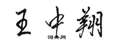 駱恆光王中翔行書個性簽名怎么寫