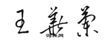 駱恆光王華蘭草書個性簽名怎么寫