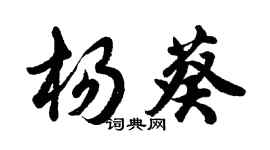 胡問遂楊葵行書個性簽名怎么寫