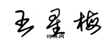 朱錫榮王星梅草書個性簽名怎么寫