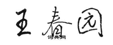 駱恆光王春園行書個性簽名怎么寫