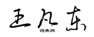 曾慶福王凡東草書個性簽名怎么寫