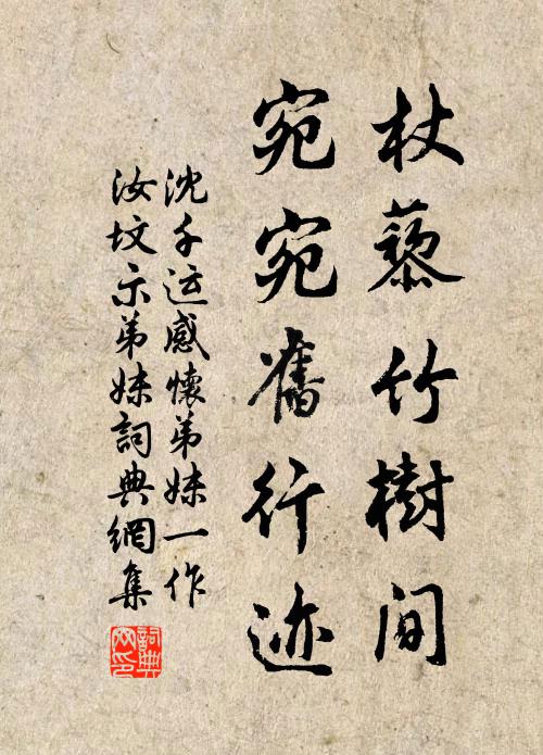 多是摘葉與尋枝,不能直向根源會 詩詞名句