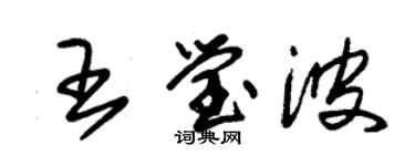 朱錫榮王瑩波草書個性簽名怎么寫