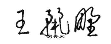 駱恆光王麗野草書個性簽名怎么寫
