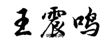 胡問遂王震鳴行書個性簽名怎么寫