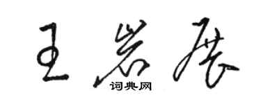 駱恆光王岩展草書個性簽名怎么寫