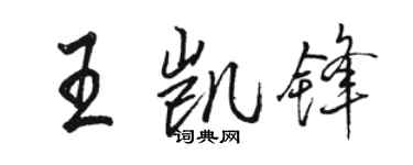 駱恆光王凱鋒行書個性簽名怎么寫
