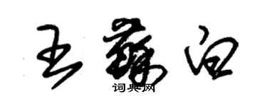 朱錫榮王蘇白草書個性簽名怎么寫