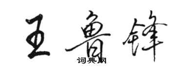 駱恆光王魯鋒行書個性簽名怎么寫