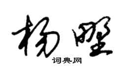 朱錫榮楊野草書個性簽名怎么寫