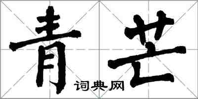 翁闓運青芒楷書怎么寫