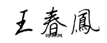 王正良王春鳳行書個性簽名怎么寫