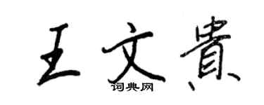 王正良王文貴行書個性簽名怎么寫