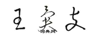 駱恆光王異支草書個性簽名怎么寫