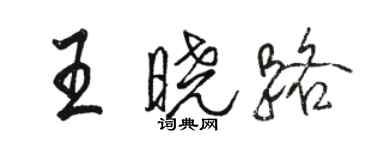 駱恆光王曉路行書個性簽名怎么寫