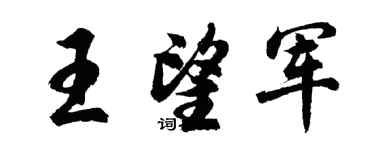 胡問遂王望軍行書個性簽名怎么寫