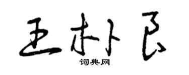 曾慶福王朴良草書個性簽名怎么寫