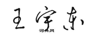 駱恆光王宇東草書個性簽名怎么寫