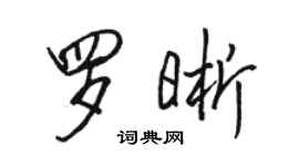 駱恆光羅晰行書個性簽名怎么寫