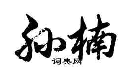 胡問遂孫楠行書個性簽名怎么寫