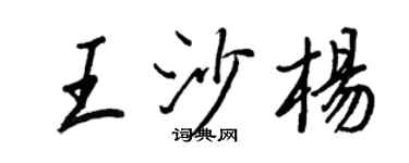 王正良王沙楊行書個性簽名怎么寫