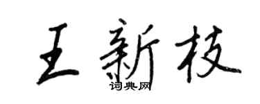 王正良王新枝行書個性簽名怎么寫