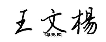 王正良王文楊行書個性簽名怎么寫
