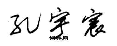 朱錫榮孔宇宸草書個性簽名怎么寫