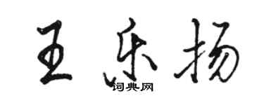 駱恆光王樂揚行書個性簽名怎么寫
