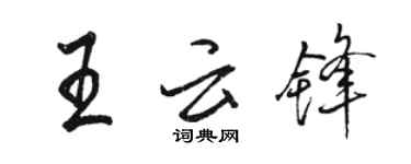 駱恆光王雲鋒行書個性簽名怎么寫